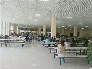 电子厂加薪记 福利升级背后的用工生态